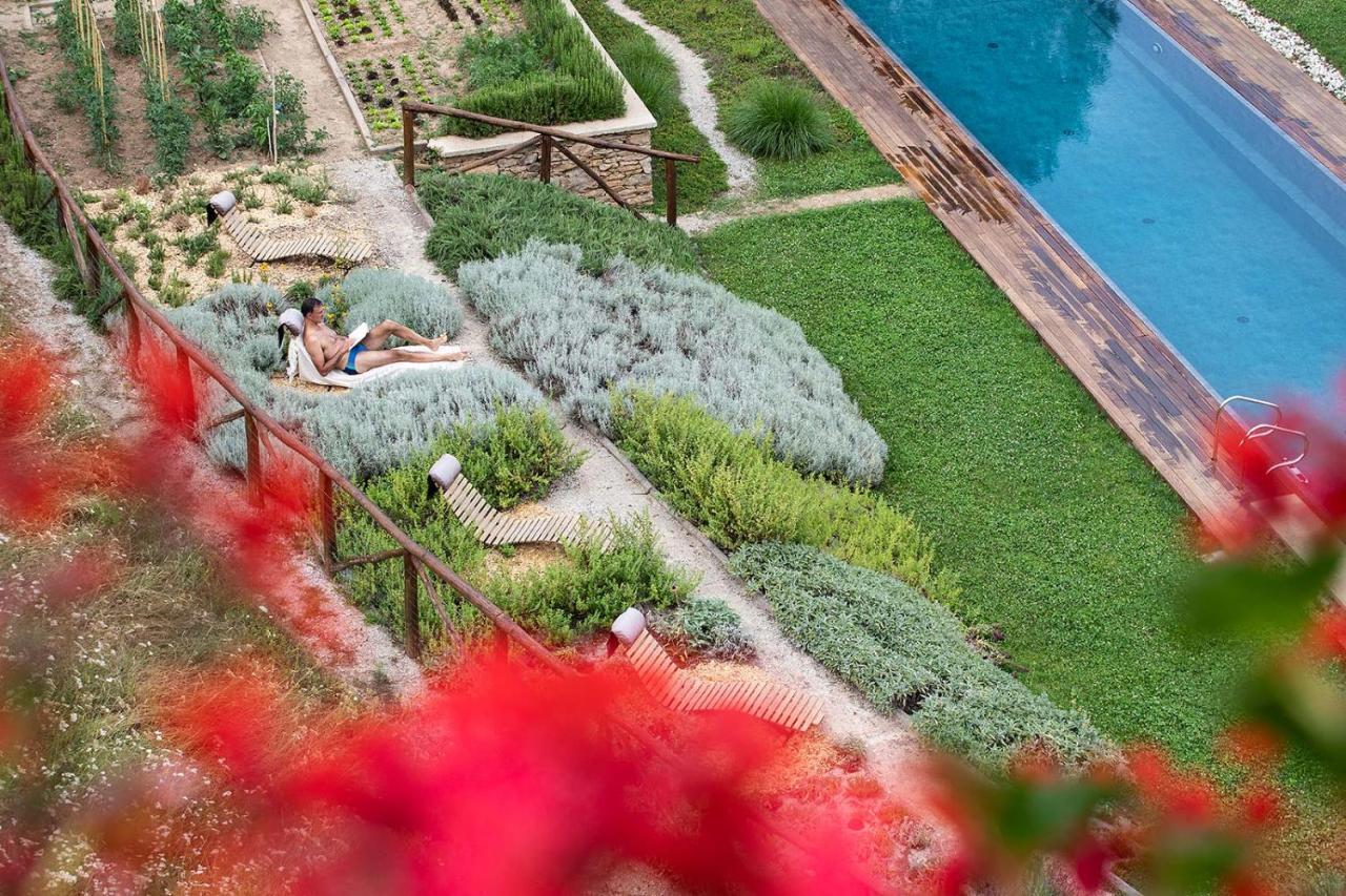 Dionisia'S Home, Pool, Spa On Monviso Unesco Alps Verzuolo Exterior foto