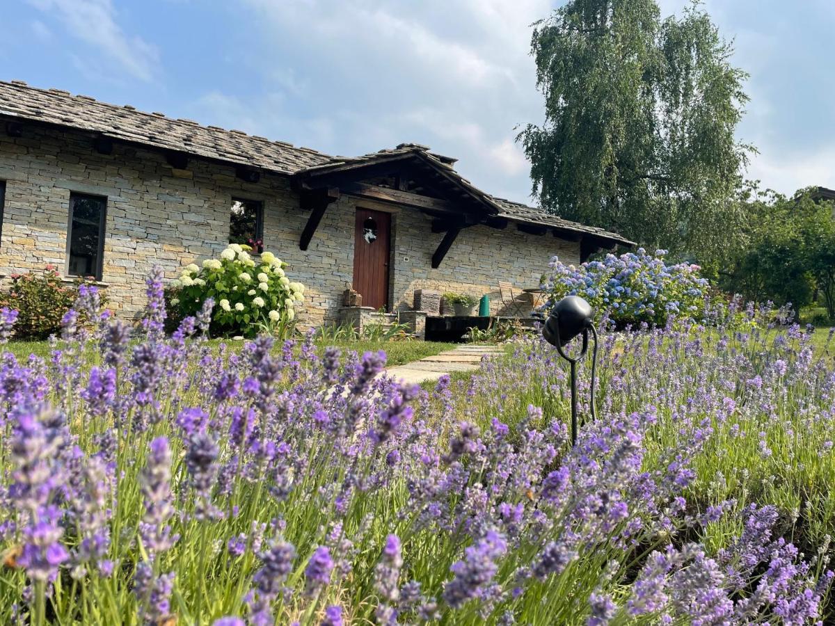 Dionisia'S Home, Pool, Spa On Monviso Unesco Alps Verzuolo Exterior foto